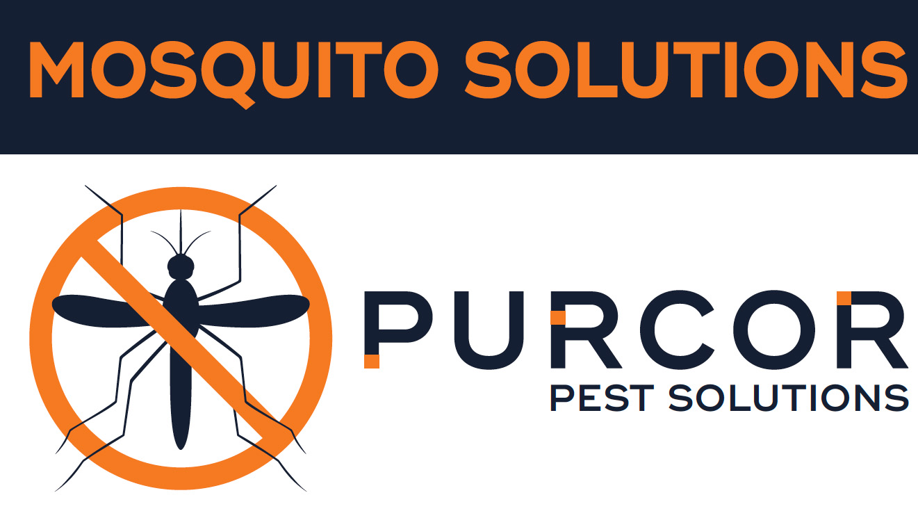 Mosquito Solutions graphic Mosquito Solutions graphic